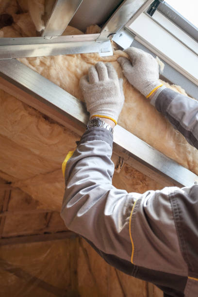 Best Insulation Maintenance and Repair in Cleveland, TX