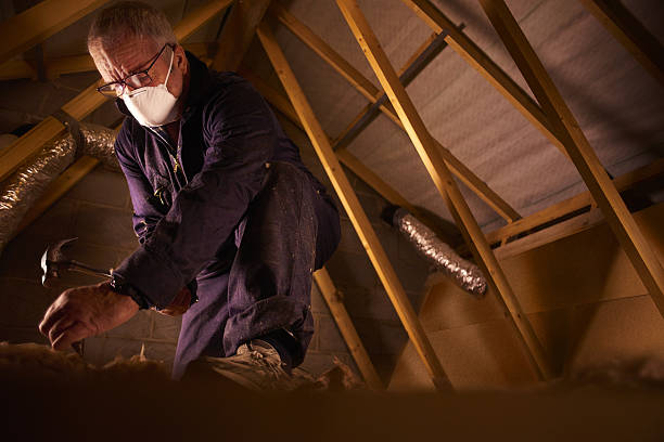 Best Insulation Materials and Products in Cleveland, TX