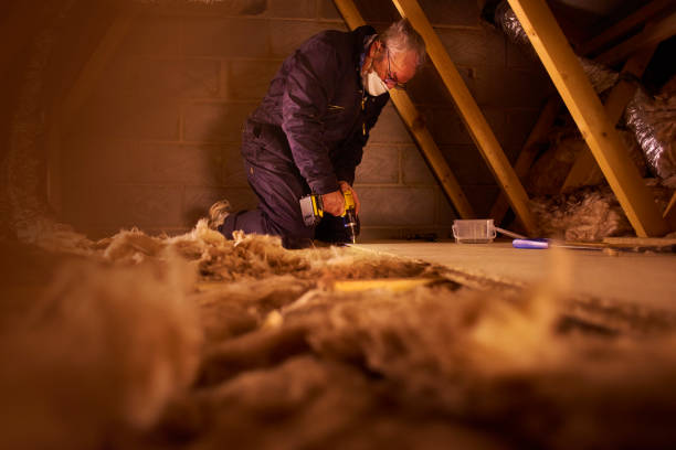 Best Insulation Maintenance and Repair in Cleveland, TX